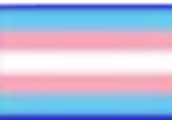 Transgender flag